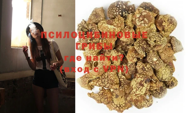 соль ск Алексин