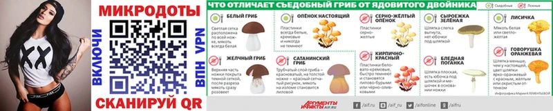 Псилоцибиновые грибы мицелий Алупка